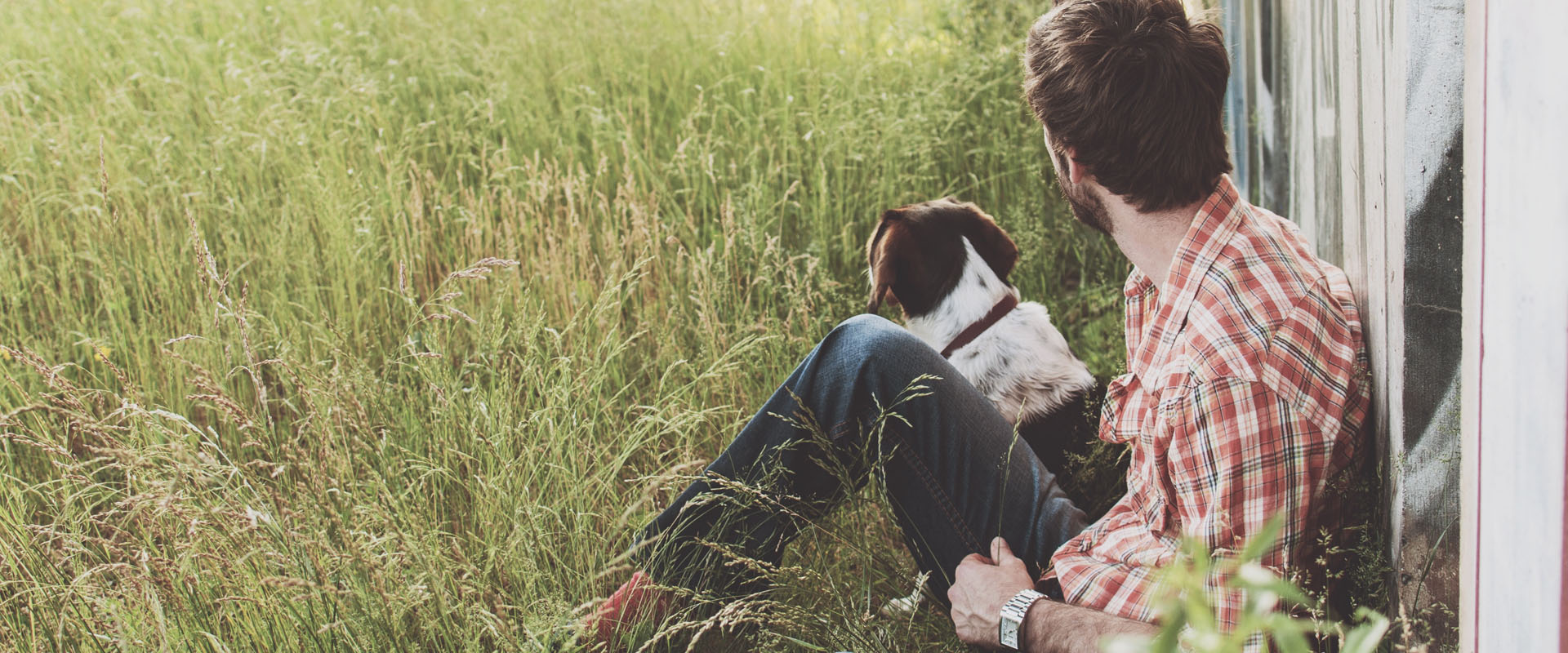 Patience Professional Dog Training Patience Professional Dog Training